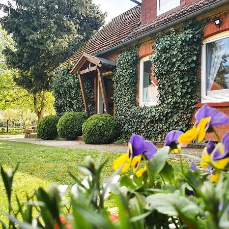 Am Alten Haus Altenmedingen Zewnętrze zdjęcie