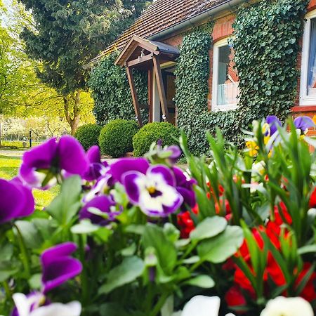 Am Alten Haus Altenmedingen Zewnętrze zdjęcie