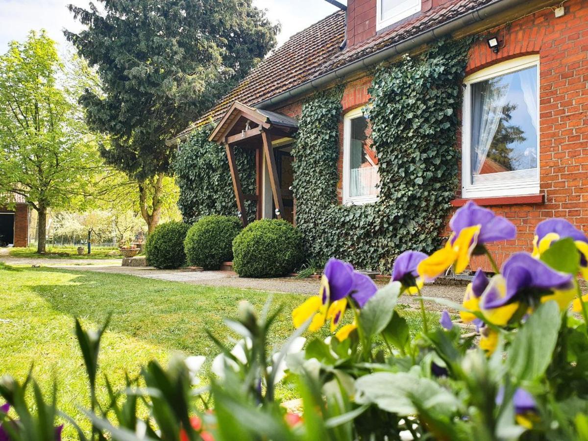 Am Alten Haus Altenmedingen Zewnętrze zdjęcie