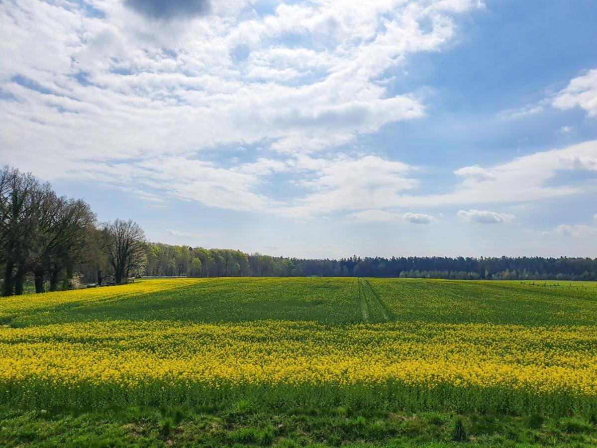 Am Alten Haus Altenmedingen Zewnętrze zdjęcie