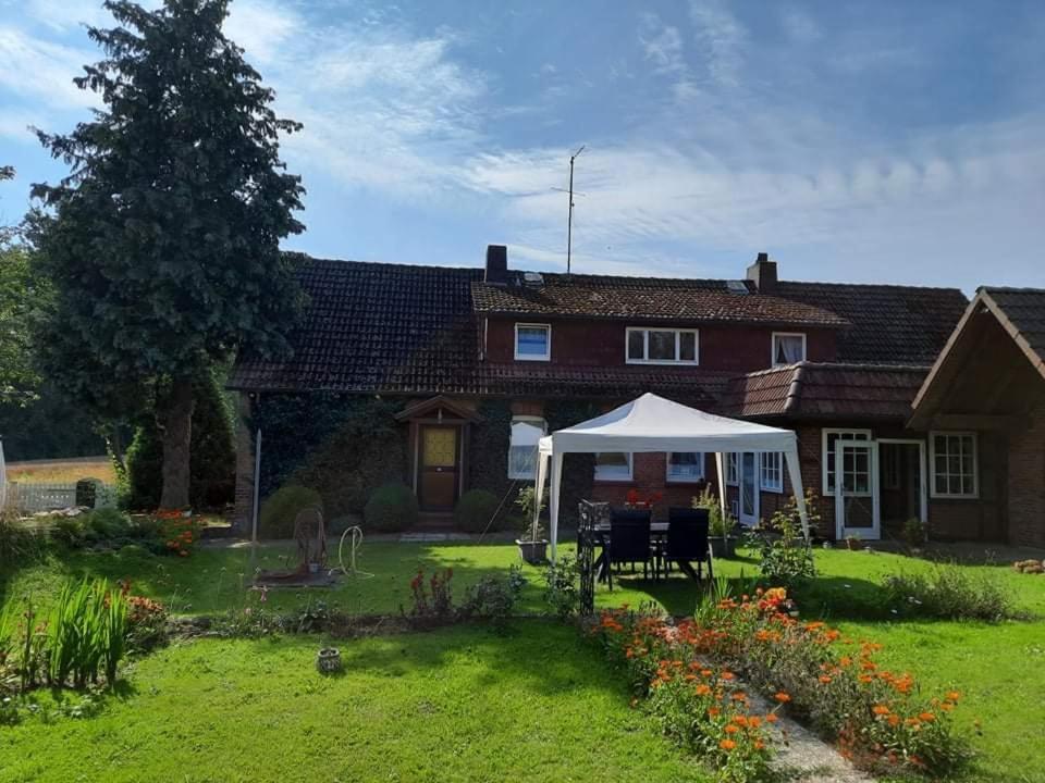 Am Alten Haus Altenmedingen Zewnętrze zdjęcie