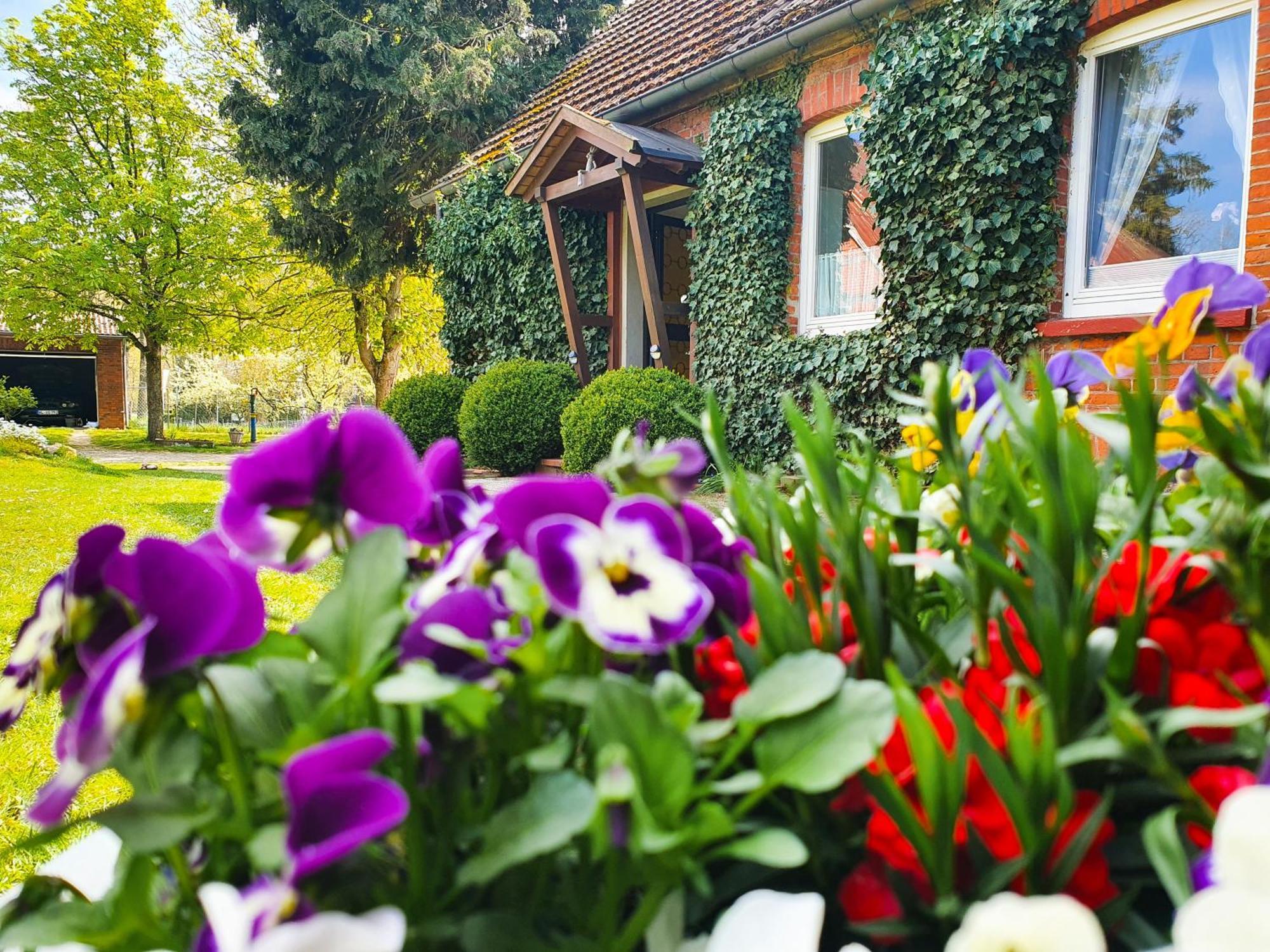 Am Alten Haus Altenmedingen Zewnętrze zdjęcie